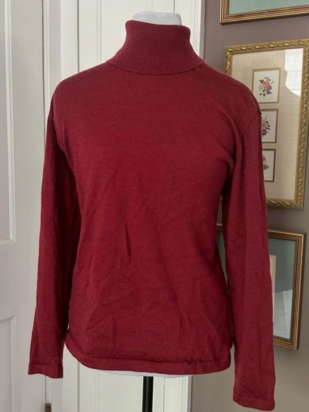 Nordstrom burgundy extra-fine merino wool turtleneck sweater